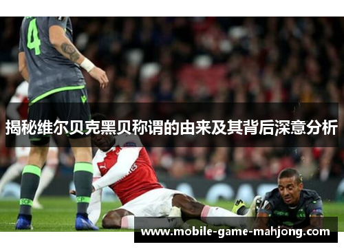 揭秘维尔贝克黑贝称谓的由来及其背后深意分析