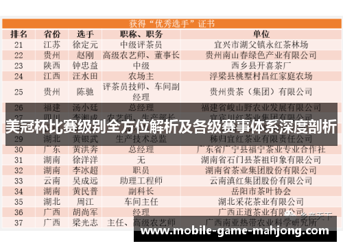 美冠杯比赛级别全方位解析及各级赛事体系深度剖析