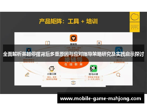 全面解析英超停摆背后多重原因与应对指导策略研究及实践启示探讨