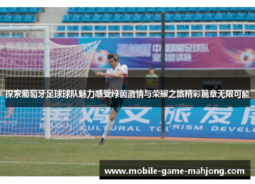 探索葡萄牙足球球队魅力感受绿茵激情与荣耀之旅精彩篇章无限可能