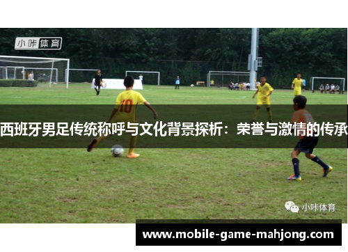 西班牙男足传统称呼与文化背景探析：荣誉与激情的传承