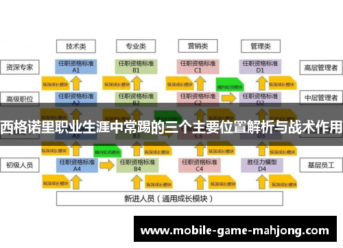 西格诺里职业生涯中常踢的三个主要位置解析与战术作用